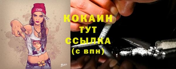 PSILOCYBIN Костерёво