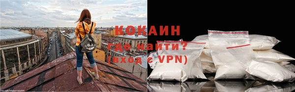 PSILOCYBIN Костерёво