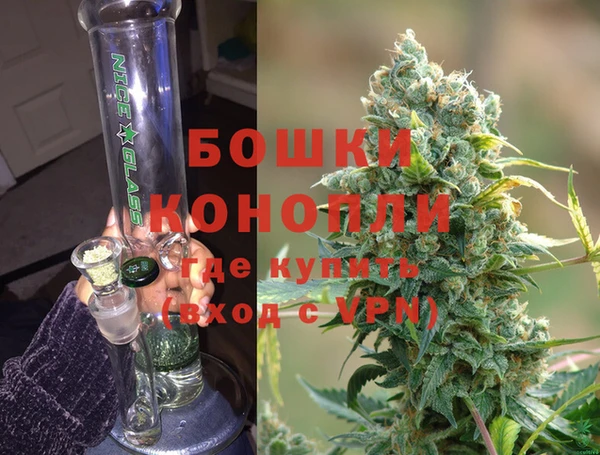 PSILOCYBIN Костерёво