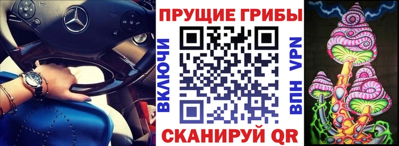 Галлюциногенные грибы ЛСД  даркнет сайт  Городище 