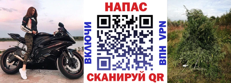 как найти закладки  Городище  Бошки марихуана Amnesia 